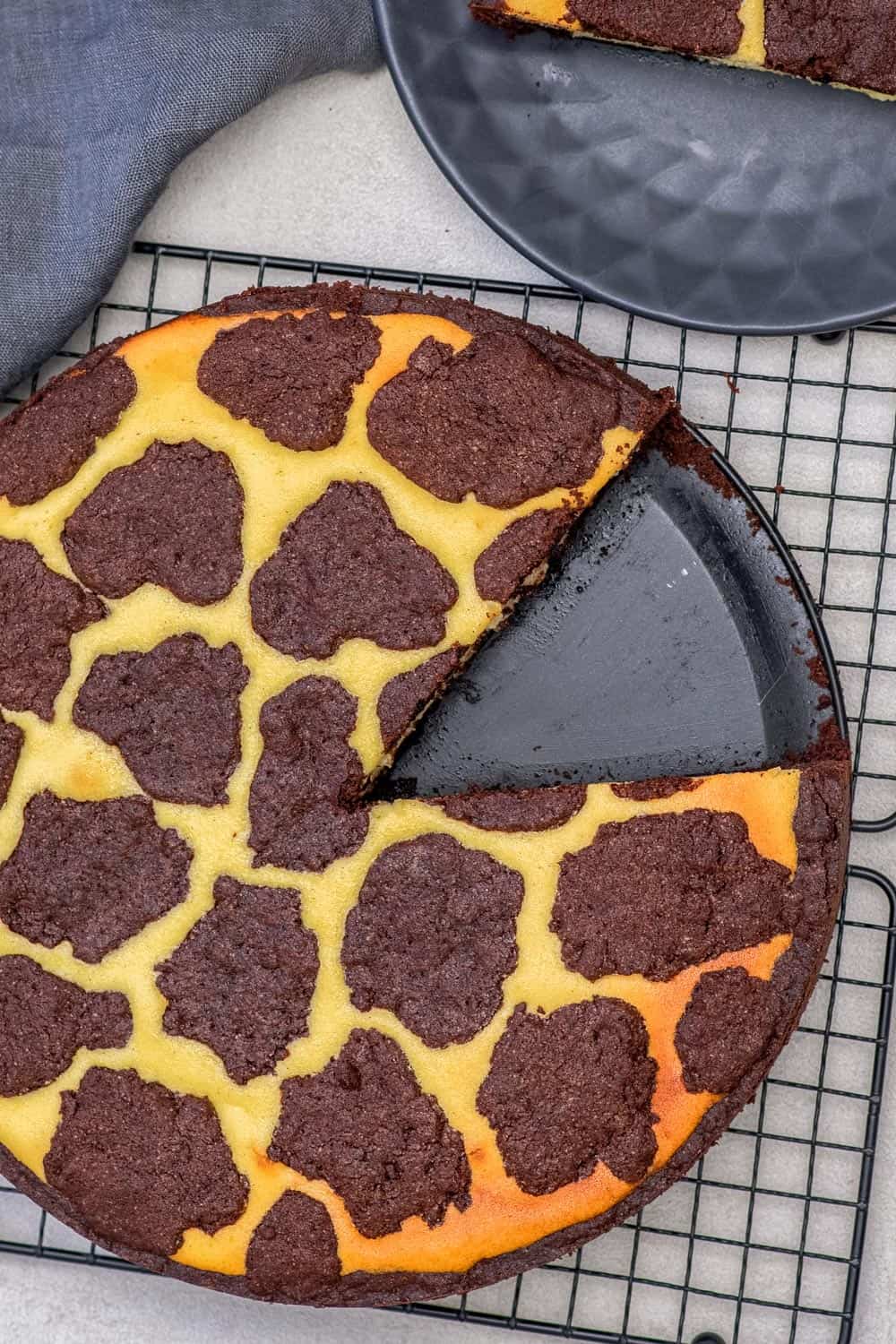 Mein Russischer Zupfkuchen ist ganz einfach und schnell gemacht. Ein Rezept wie von Oma gebacken. Der Kuchen ist cremig, schokoladig und einfach nur lecker.