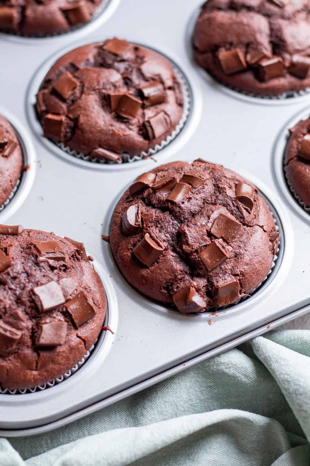 Schokomuffins - super saftig mit Öl &amp; Kakao (bestes Rezept)