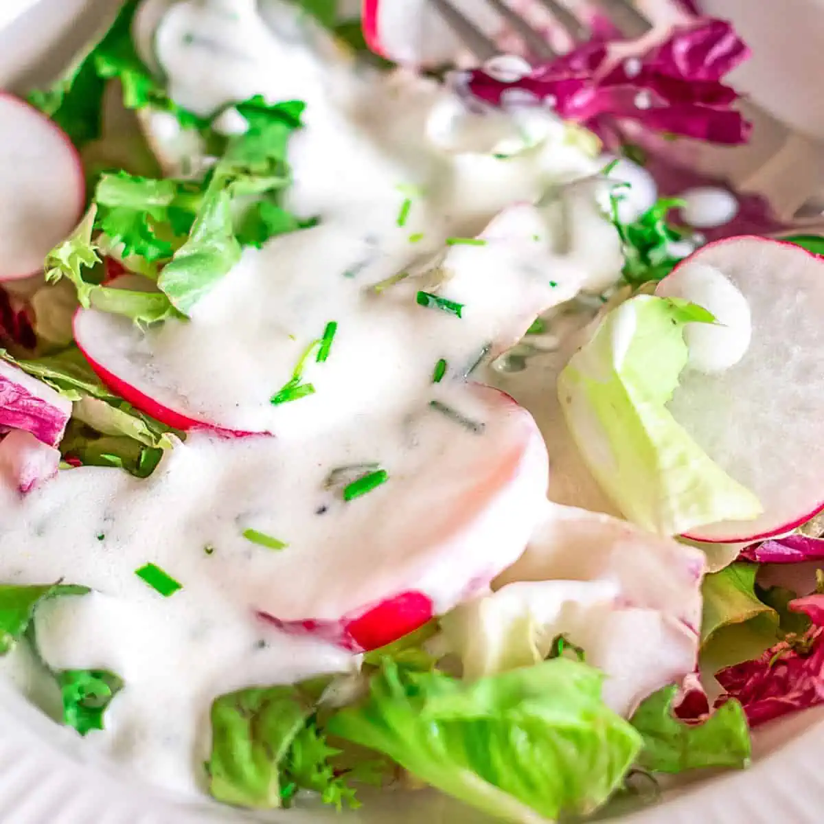 Joghurt Dressing selber machen – das Beste