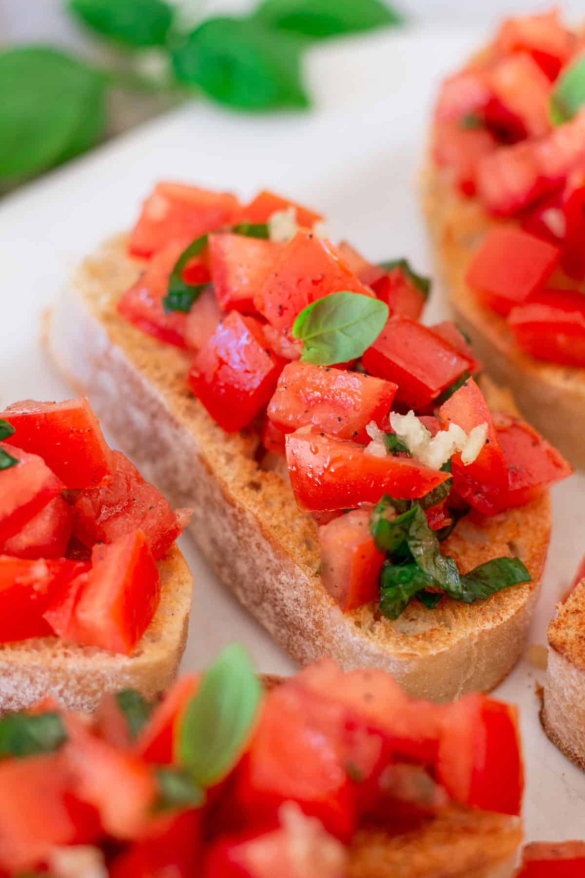 bruschetta-mit-tomaten-einfach-klassisch-italienisch-24